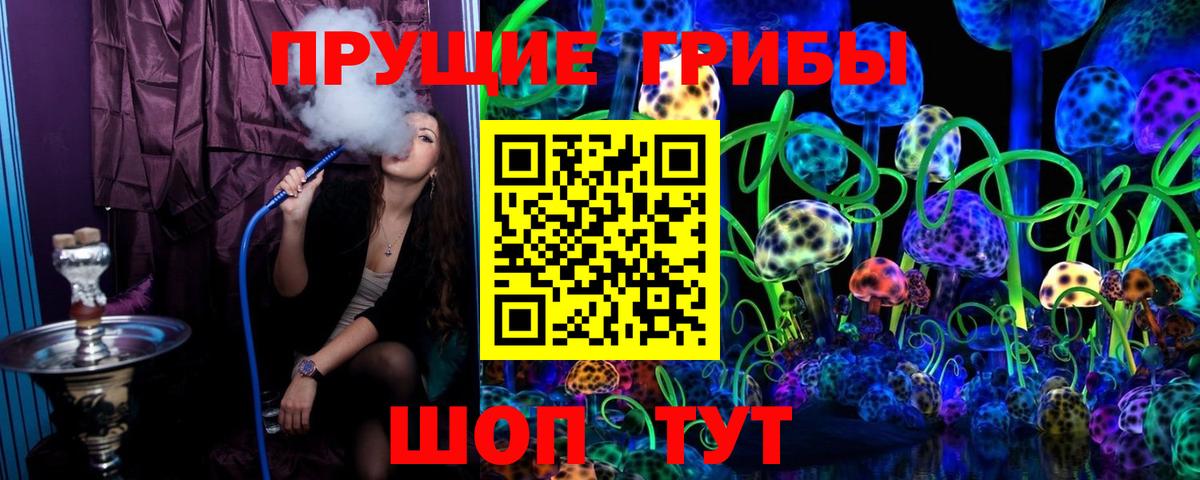 Назрань  Псилоцибиновые грибы Cubensis  Вход с VPN 