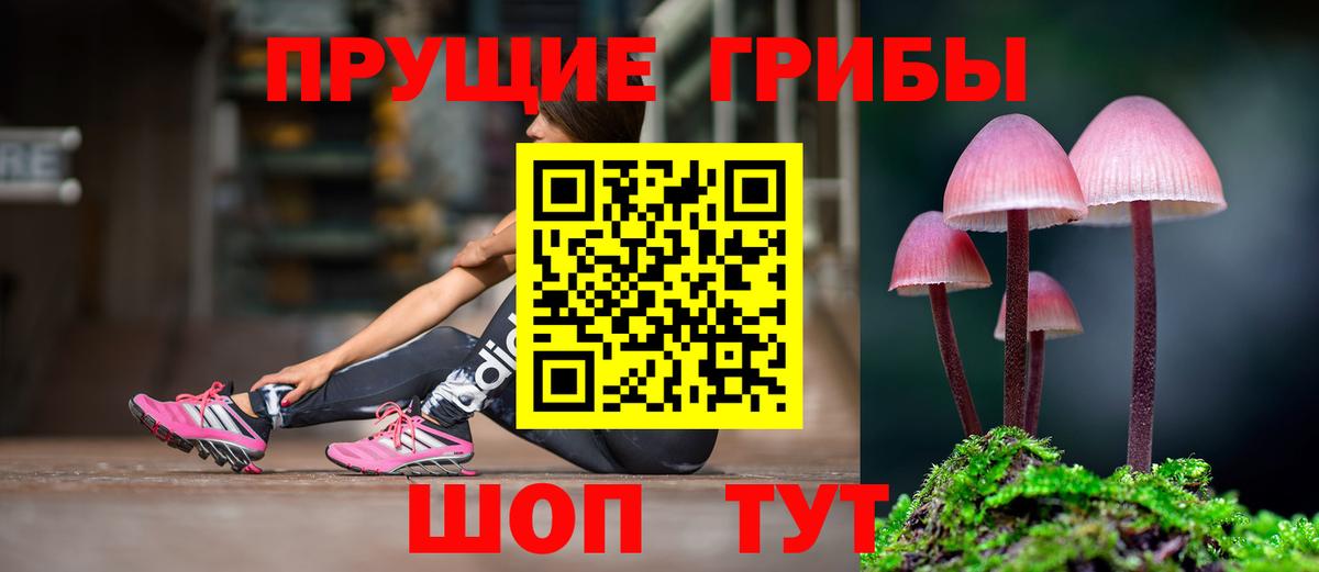 Галлюциногенные грибы MAGIC MUSHROOMS Назрань
